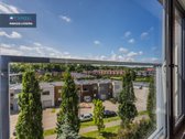Nuostabiąjame Fredos Miestelyje, Šalia - nuotraukos Nr. 15