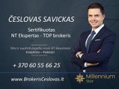 Nuostabiąjame Fredos Miestelyje, Šalia - nuotraukos Nr. 54