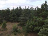 Parduodamas išskirtinis 14 gyvenamųjų sklypų - nuotraukos Nr. 10