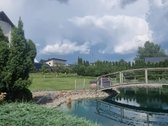 Akligatvio pabaigoje, prie pat miško, - nuotraukos Nr. 5