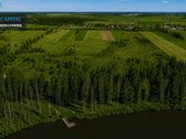 Parduodamas 1,7709 ha žemės ūkio paskirties - nuotraukos Nr. 11
