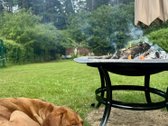 Parduodamas išskirtinis 12 arų sodas su nauju - nuotraukos Nr. 13
