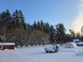 Parduodamas išskirtinis 12 arų sodas su nauju - nuotraukos Nr. 15