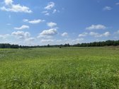 Širvintų r. sav., Plikiškių k., Žaliosios g. - nuotraukos Nr. 2