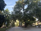 Parduodamas Jaukus Butas Prestižinėje - nuotraukos Nr. 31