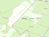 Parduodamas 3 ha žemės ūkio paskirties - nuotraukos Nr. 4
