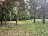 Parduodamas 3 ha žemės ūkio paskirties - nuotraukos Nr. 9
