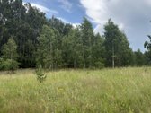 Parduodamas 3 ha žemės ūkio paskirties - nuotraukos Nr. 2