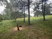 Parduodamas 3 ha žemės ūkio paskirties - nuotraukos Nr. 6
