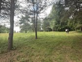 Parduodamas 3 ha žemės ūkio paskirties - nuotraukos Nr. 7