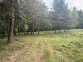 Parduodamas 3 ha žemės ūkio paskirties