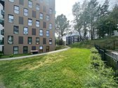Išnuomojamas Labai Šviesus Ir Jaukus 2 - nuotraukos Nr. 22
