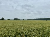 Neįkainojama ramybė, kurios mieste neįsigysi, - nuotraukos Nr. 14