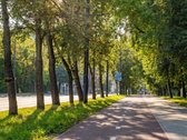 Tuskulėnų 2, Žirmūnai. - nuotraukos Nr. 33