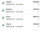 Kapitališkai renovuotas butas. - nuotraukos Nr. 36