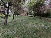Parduodamas 7arų sodas Kėdainiuose, - nuotraukos Nr. 4