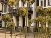 Išskirtinės biuro patalpos Vilniaus - nuotraukos Nr. 6
