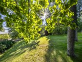 Parduodamas namas, besiribojantis su mišku - nuotraukos Nr. 5