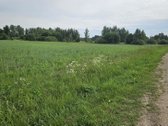 Parduodami du žemės sklypai, Šniponių k., - nuotraukos Nr. 2