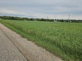 Parduodami du žemės sklypai, Šniponių k., - nuotraukos Nr. 3