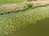 Parduodamas išskirtinis rekreacinės - nuotraukos Nr. 5