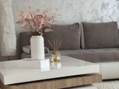 Išnuomojamas Naujai Suremontuotas 2 Kambarių