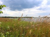 Parduodamas išskirtinis 88,3 arų sklypas prie - nuotraukos Nr. 7
