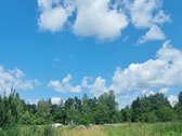 Parduodamas 1,1450 ha žemės sklypas Elektrėnų - nuotraukos Nr. 16
