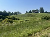 Vaizdingoje vietoje Zarasų r. Tirylių vs. - nuotraukos Nr. 5
