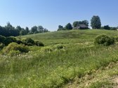 Vaizdingoje vietoje Zarasų r. Tirylių vs. - nuotraukos Nr. 7