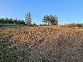Namų valdos sklypas laukia šeimininko. - nuotraukos Nr. 2