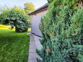 ? Jaukus Sodo Namas Su Pirtimi Ir Saulės - nuotraukos Nr. 12