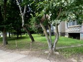 Šviesus, Šiltas 2 Kambarių Butas Eiguliuose - nuotraukos Nr. 11