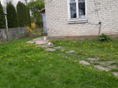 Parduodama neapleista 40 arų sodyba su daug - nuotraukos Nr. 8