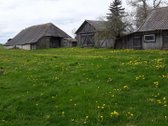 Parduodama neapleista 40 arų sodyba su daug - nuotraukos Nr. 20