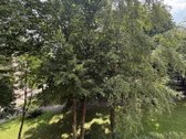 Renovuotas Butas Centre – Maži Mokesčiai – - nuotraukos Nr. 15