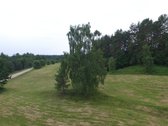 Parduodama Autentiška Sodyba Ežerų Ir Miškų - nuotraukos Nr. 23