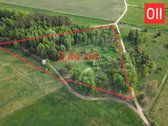 Parduodamas 2,45 ha žemės ūkio paskirties - nuotraukos Nr. 3