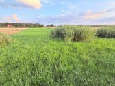 Parduodamas sklypas likiskeliu k. senojo - nuotraukos Nr. 2