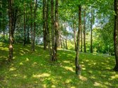 A++ Klasės 3 Kambarių Butas Peteliškių Parke, - nuotraukos Nr. 34