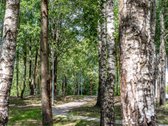 A++ Klasės 3 Kambarių Butas Peteliškių Parke, - nuotraukos Nr. 36