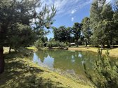 Išskirtinis vasarnamis su daugiau nei 1 ha - nuotraukos Nr. 17