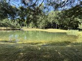 Išskirtinis vasarnamis su daugiau nei 1 ha - nuotraukos Nr. 20
