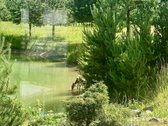 Išskirtinis vasarnamis su daugiau nei 1 ha - nuotraukos Nr. 28