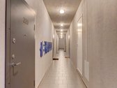Nuomojamas tvarkingai įrengtas 2-jų kambarių - nuotraukos Nr. 12