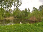 Netoli ežero, Šeduikių k., Utenos raj. - nuotraukos Nr. 23