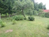 - Sklypas Yra Anykščių Mieste, Šalia Pušyno - nuotraukos Nr. 6
