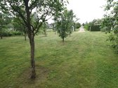 - Sklypas Yra Anykščių Mieste, Šalia Pušyno - nuotraukos Nr. 10
