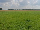 Parduodama Sodybavietė Su 8,81 Ha Žemės – - nuotraukos Nr. 5