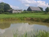 Parduodama Sodybavietė Su 8,81 Ha Žemės – - nuotraukos Nr. 6